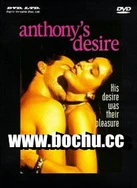 日韩欧美中文字幕在线